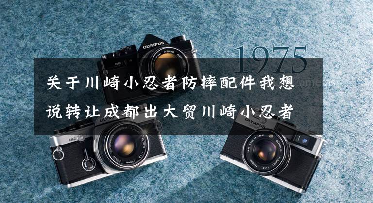 关于川崎小忍者防摔配件我想说转让成都出大贸川崎小忍者