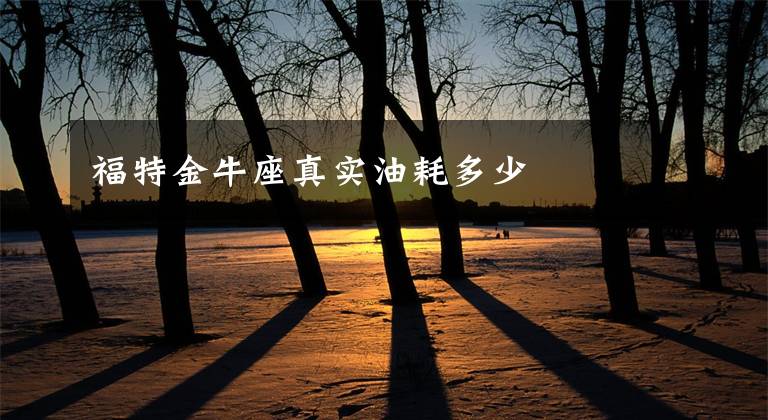 福特金牛座真实油耗多少