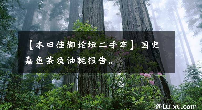 【本田佳御论坛二手车】国史嘉鱼茶及油耗报告。
