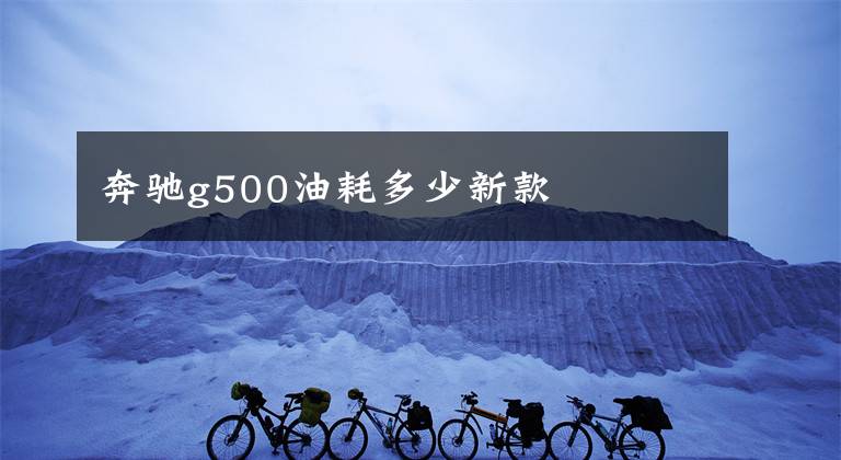 奔驰g500油耗多少新款