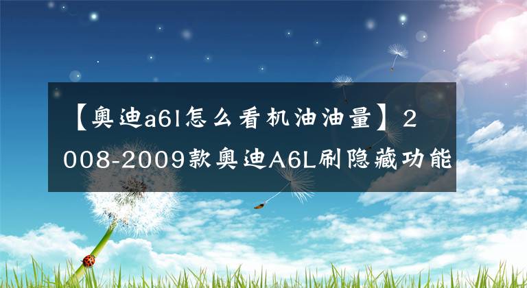 【奥迪a6l怎么看机油油量】2008-2009款奥迪A6L刷隐藏功能方法（一）
