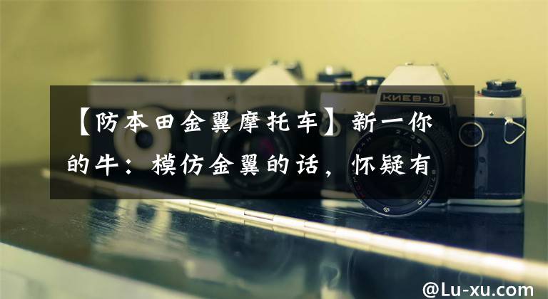 【防本田金翼摩托车】新一你的牛：模仿金翼的话，怀疑有亲兄弟。