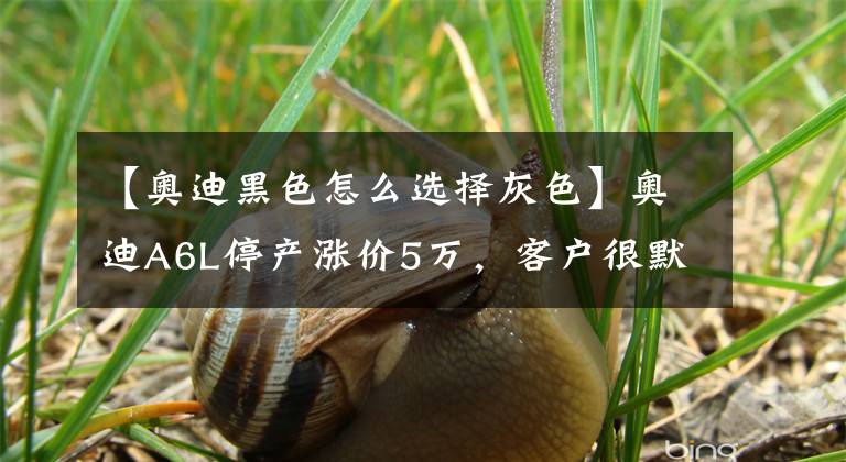 【奥迪黑色怎么选择灰色】奥迪A6L停产涨价5万，客户很默契概不买单