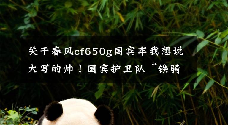 关于春风cf650g国宾车我想说大写的帅！国宾护卫队“铁骑天团”，彰显我大国颜面！