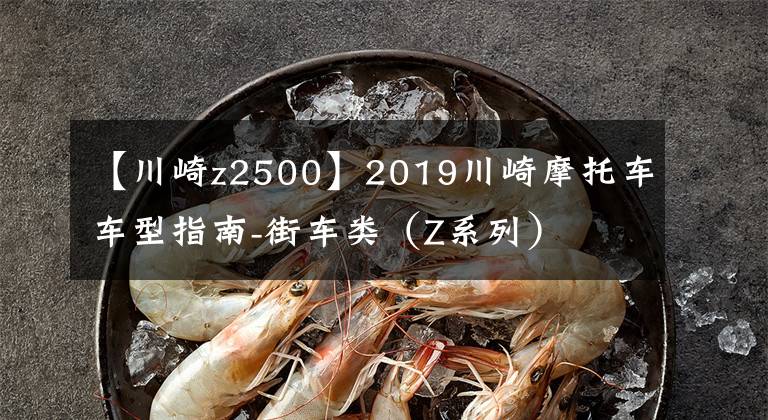 【川崎z2500】2019川崎摩托车车型指南-街车类（Z系列）
