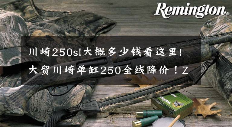 川崎250sl大概多少钱看这里!大贸川崎单缸250全线降价！Z250SL跌破三万！