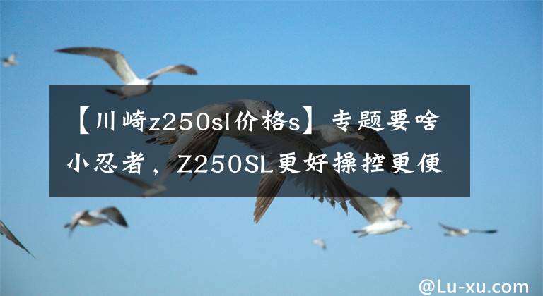 【川崎z250sl价格s】专题要啥小忍者，Z250SL更好操控更便宜，性价比连国产车见了都怕