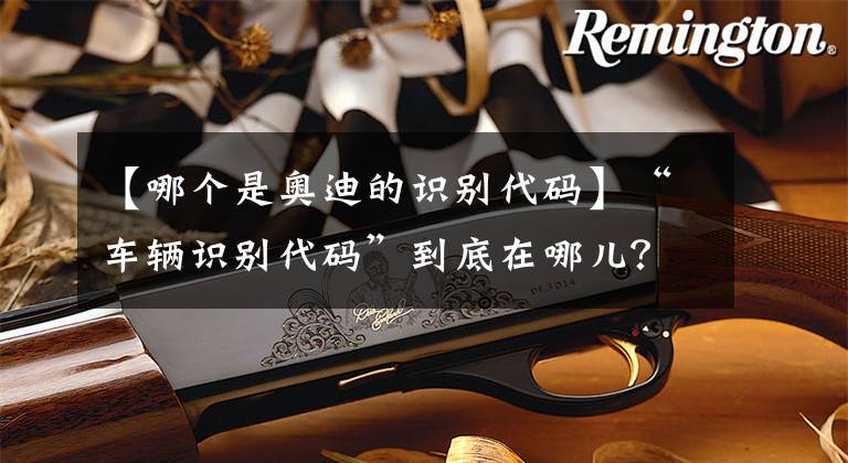 【哪个是奥迪的识别代码】“车辆识别代码”到底在哪儿？