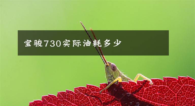 宝骏730实际油耗多少