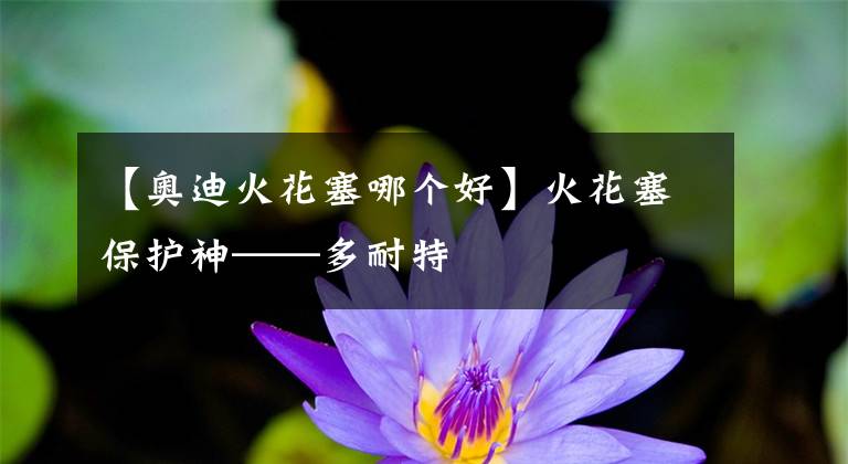 【奥迪火花塞哪个好】火花塞保护神——多耐特
