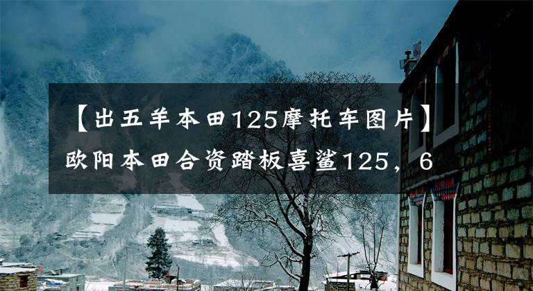 【出五羊本田125摩托车图片】欧阳本田合资踏板喜鲨125，6L油箱，皮带传动，新品6580韩元