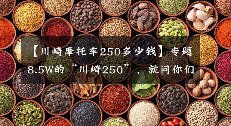 【川崎摩托车250多少钱】专题8.5W的“川崎250”，就问你们见过吗