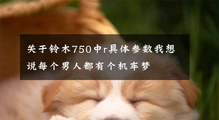 关于铃木750中r具体参数我想说每个男人都有个机车梦