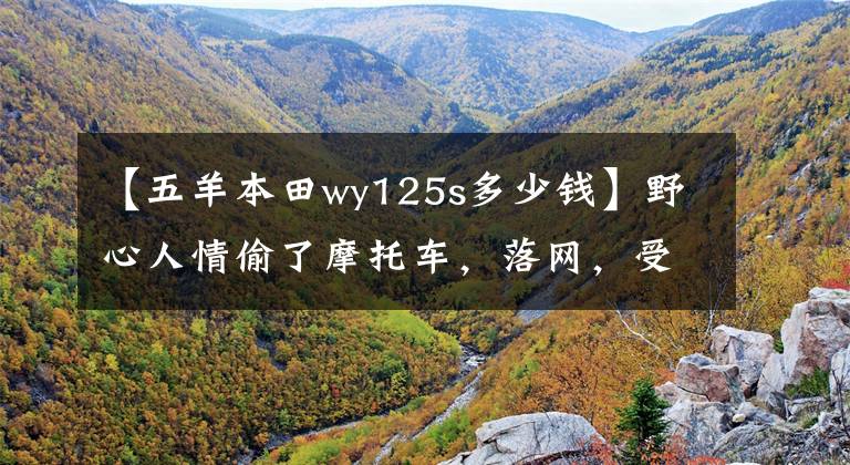 【五羊本田wy125s多少钱】野心人情偷了摩托车，落网，受到惩罚和刑罚