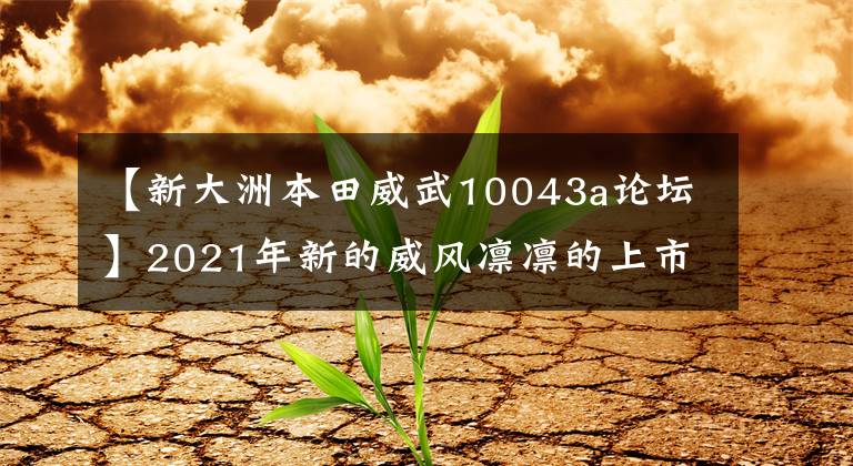【新大洲本田威武10043a论坛】2021年新的威风凛凛的上市，大型油箱，大桶。