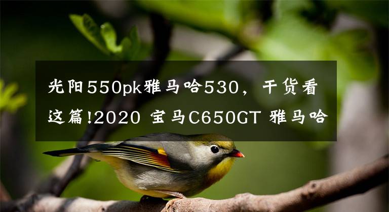 光阳550pk雅马哈530，干货看这篇!2020 宝马C650GT 雅马哈Tmax530 光阳AK550 三阳MAXSYM TL500