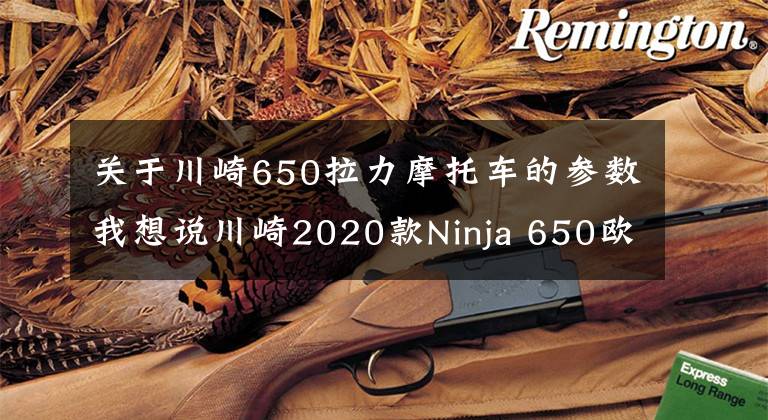 关于川崎650拉力摩托车的参数我想说川崎2020款Ninja 650欧洲登场 参数公布 外观大变配置升级