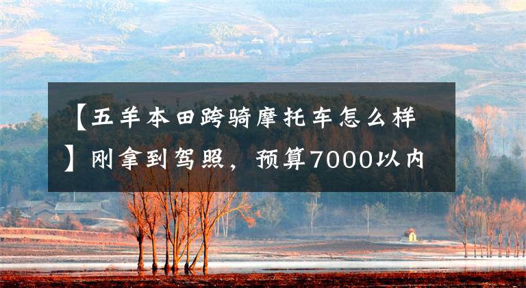 【五羊本田跨骑摩托车怎么样】刚拿到驾照，预算7000以内适合新手练手的跨骑自行车，求推荐？