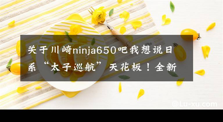 关于川崎ninja650吧我想说日系“太子巡航”天花板！全新川崎小火神上市，定价78800元！