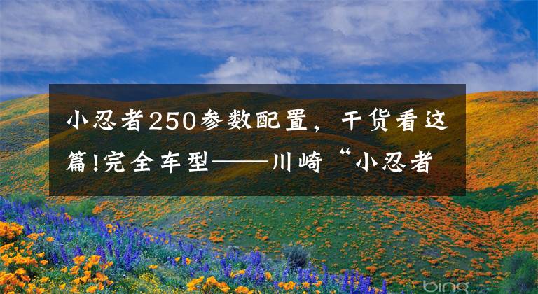 小忍者250参数配置，干货看这篇!完全车型——川崎“小忍者”你都看清了吗？