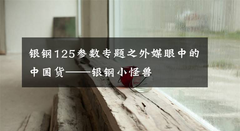 银钢125参数专题之外媒眼中的中国货——银钢小怪兽