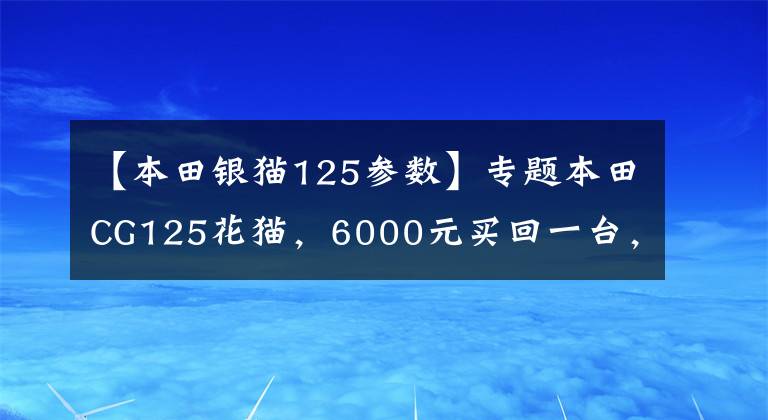 【本田银猫125参数】专题本田CG125花猫，6000元买回一台，外观没变，灵魂已不再