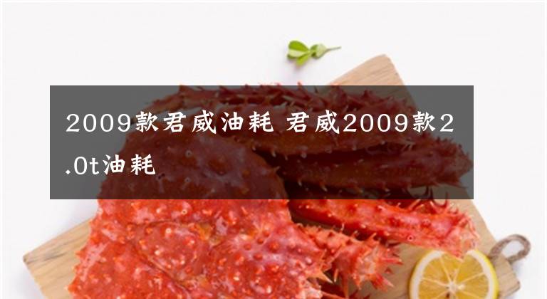 2009款君威油耗 君威2009款2.0t油耗
