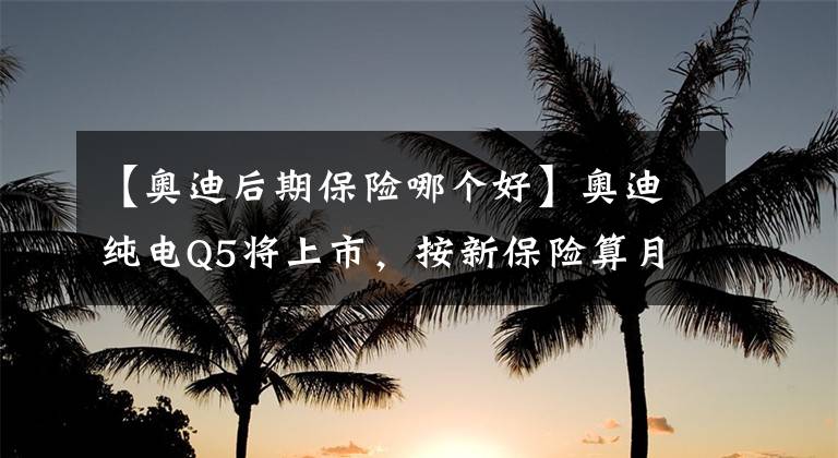 【奥迪后期保险哪个好】奥迪纯电Q5将上市，按新保险算月养车或1千3，省吗？