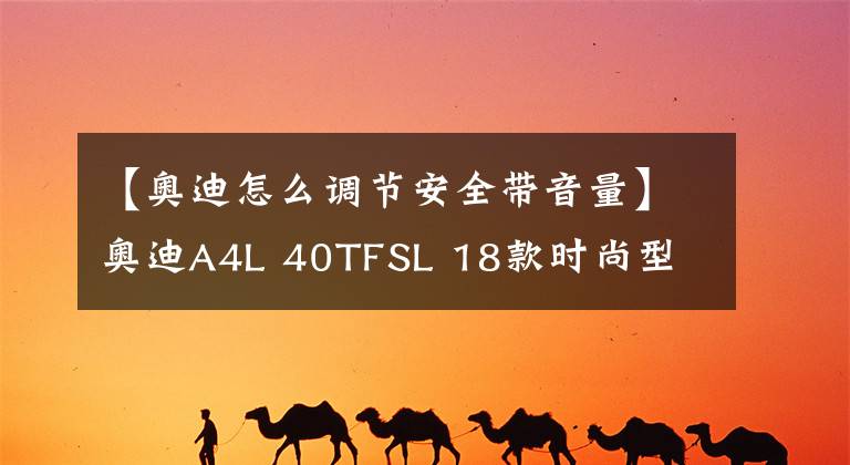 【奥迪怎么调节安全带音量】奥迪A4L 40TFSL 18款时尚型 功能按键说明（有用干货）