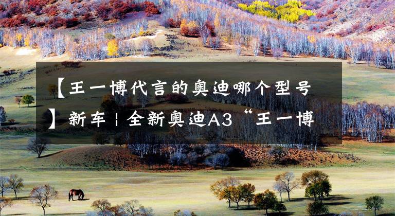 【王一博代言的奥迪哪个型号】新车 | 全新奥迪A3“王一博”联名限量款 售26.85万元