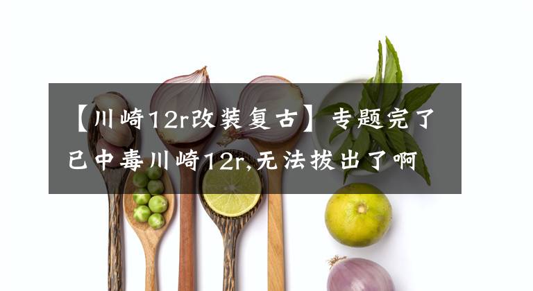 【川崎12r改装复古】专题完了已中毒川崎12r,无法拔出了啊！