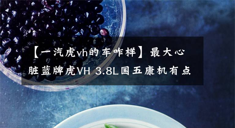 【一汽虎vh的车咋样】最大心脏蓝牌虎VH 3.8L国五康机有点猛！