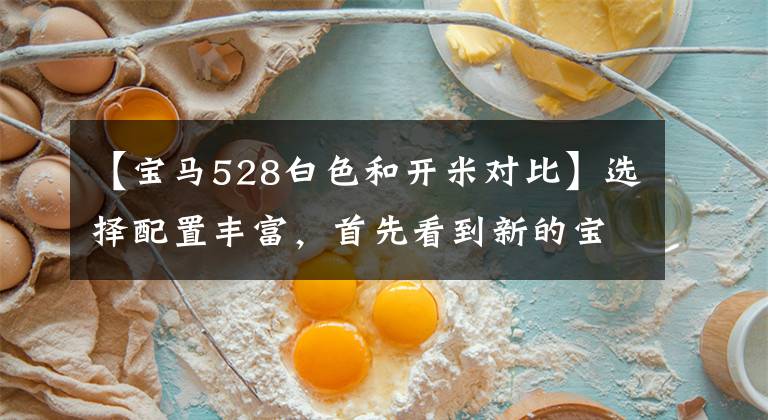 【宝马528白色和开米对比】选择配置丰富，首先看到新的宝马5系列部分配置