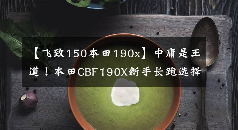 【飞致150本田190x】中庸是王道！本田CBF190X新手长跑选择