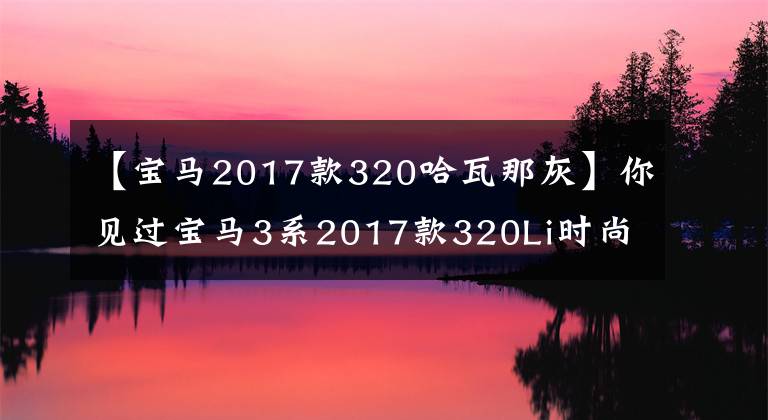 【宝马2017款320哈瓦那灰】你见过宝马3系2017款320Li时尚型这种颜色吗？