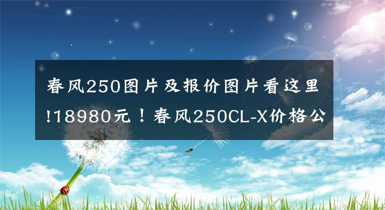 春风250图片及报价图片看这里!18980元！春风250CL-X价格公布