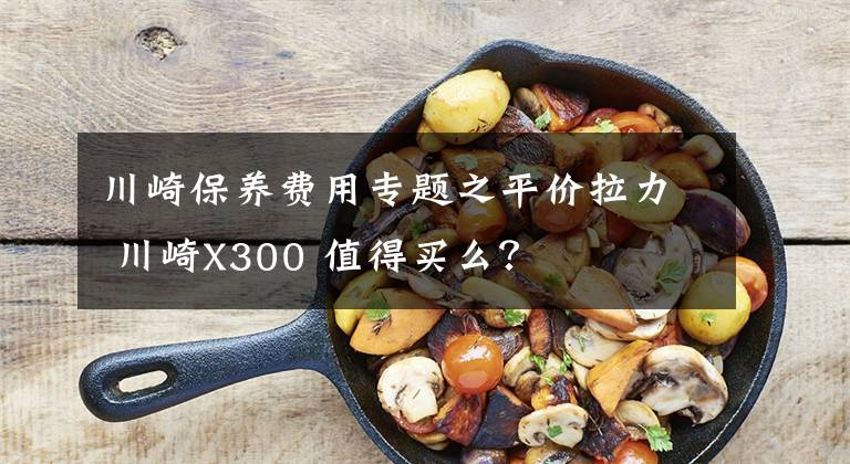 川崎保养费用专题之平价拉力 川崎X300 值得买么？