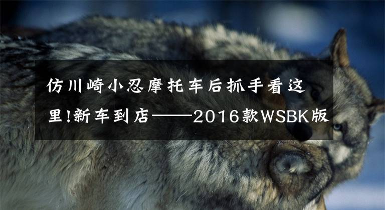仿川崎小忍摩托车后抓手看这里!新车到店——2016款WSBK版“小忍者”来啦，酷不酷自己看