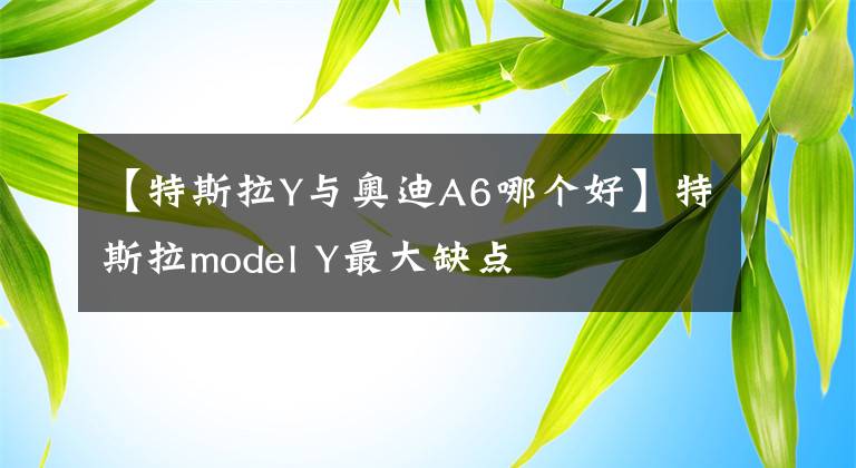 【特斯拉Y与奥迪A6哪个好】特斯拉model Y最大缺点