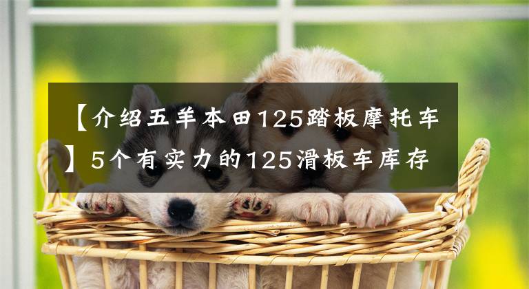 【介绍五羊本田125踏板摩托车】5个有实力的125滑板车库存，你会选择谁？