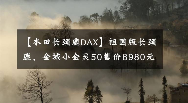 【本田长颈鹿DAX】祖国版长颈鹿，金城小金灵50售价8980元