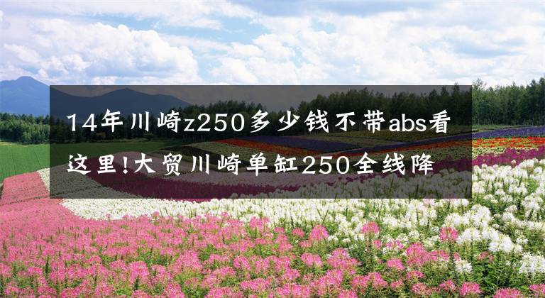 14年川崎z250多少钱不带abs看这里!大贸川崎单缸250全线降价！Z250SL跌破三万！
