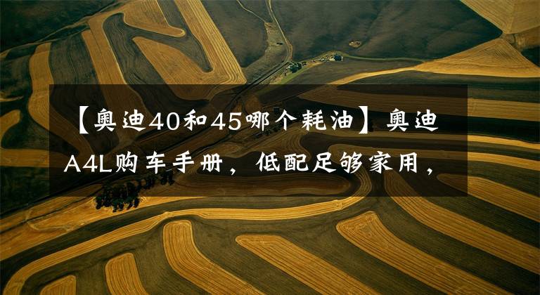 【奥迪40和45哪个耗油】奥迪A4L购车手册，低配足够家用，但中配性价比最高