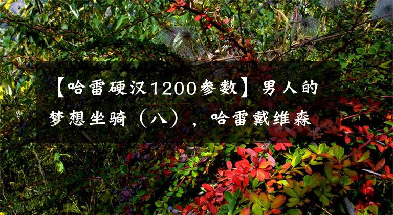 【哈雷硬汉1200参数】男人的梦想坐骑（八），哈雷戴维森1200