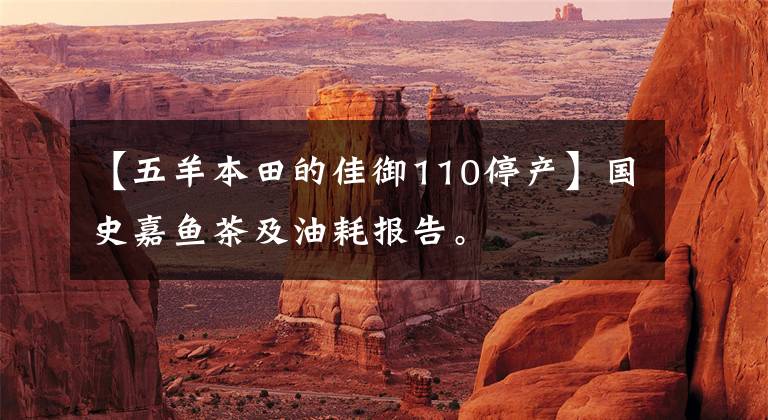 【五羊本田的佳御110停产】国史嘉鱼茶及油耗报告。