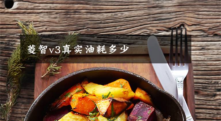 菱智v3真实油耗多少