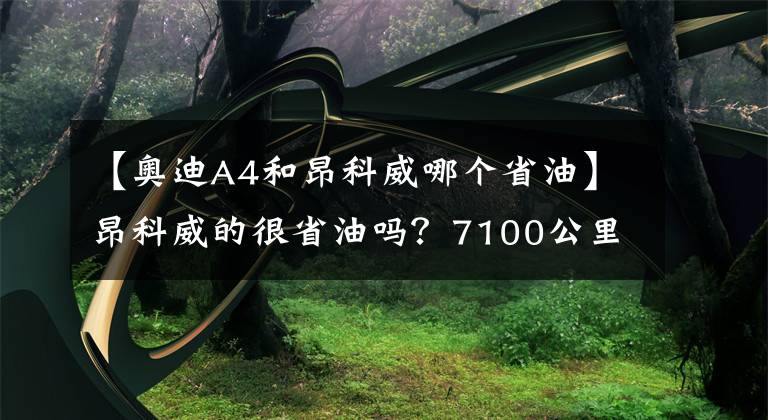 【奥迪A4和昂科威哪个省油】昂科威的很省油吗？7100公里后，车主很真实说了这几个优缺点