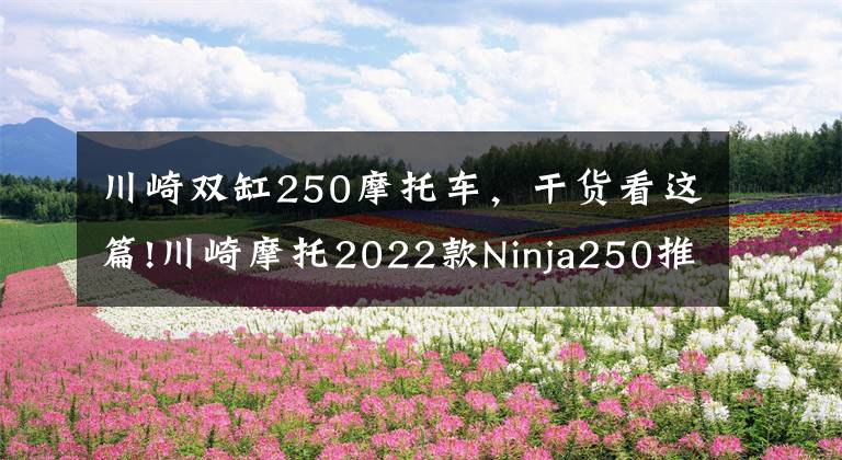 川崎双缸250摩托车，干货看这篇!川崎摩托2022款Ninja250推新糖果配色，适合女车友，可惜国内无缘
