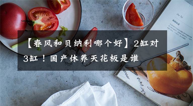 【春风和贝纳利哪个好】2缸对3缸！国产休养天花板是谁