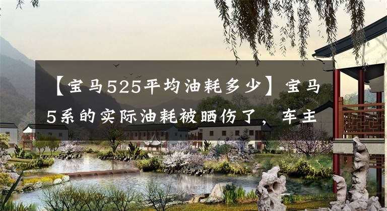 【宝马525平均油耗多少】宝马5系的实际油耗被晒伤了，车主坦言要顶风作案，乘胜追击。